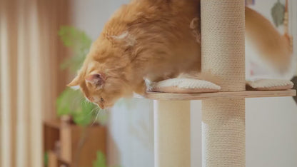 ACE2ACE Pet Hair Removal Tool, Reusable Lint Roller for Pet Hair, Self Clean Cat Hair Remover with Dust Bin, Dog Hair Remover for Couch, Furniture, Carpet, Sofa and Bedding